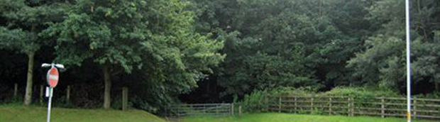 Overchurch Woods
